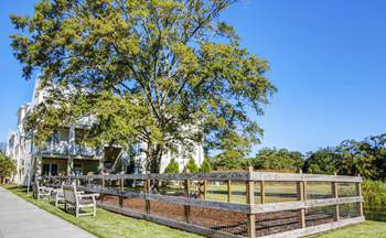 Park View at Link Apartments® Mixson, North Charleston